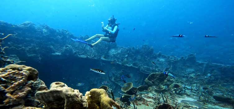 Top 5 actividades para hacer en las Islas del Rosario