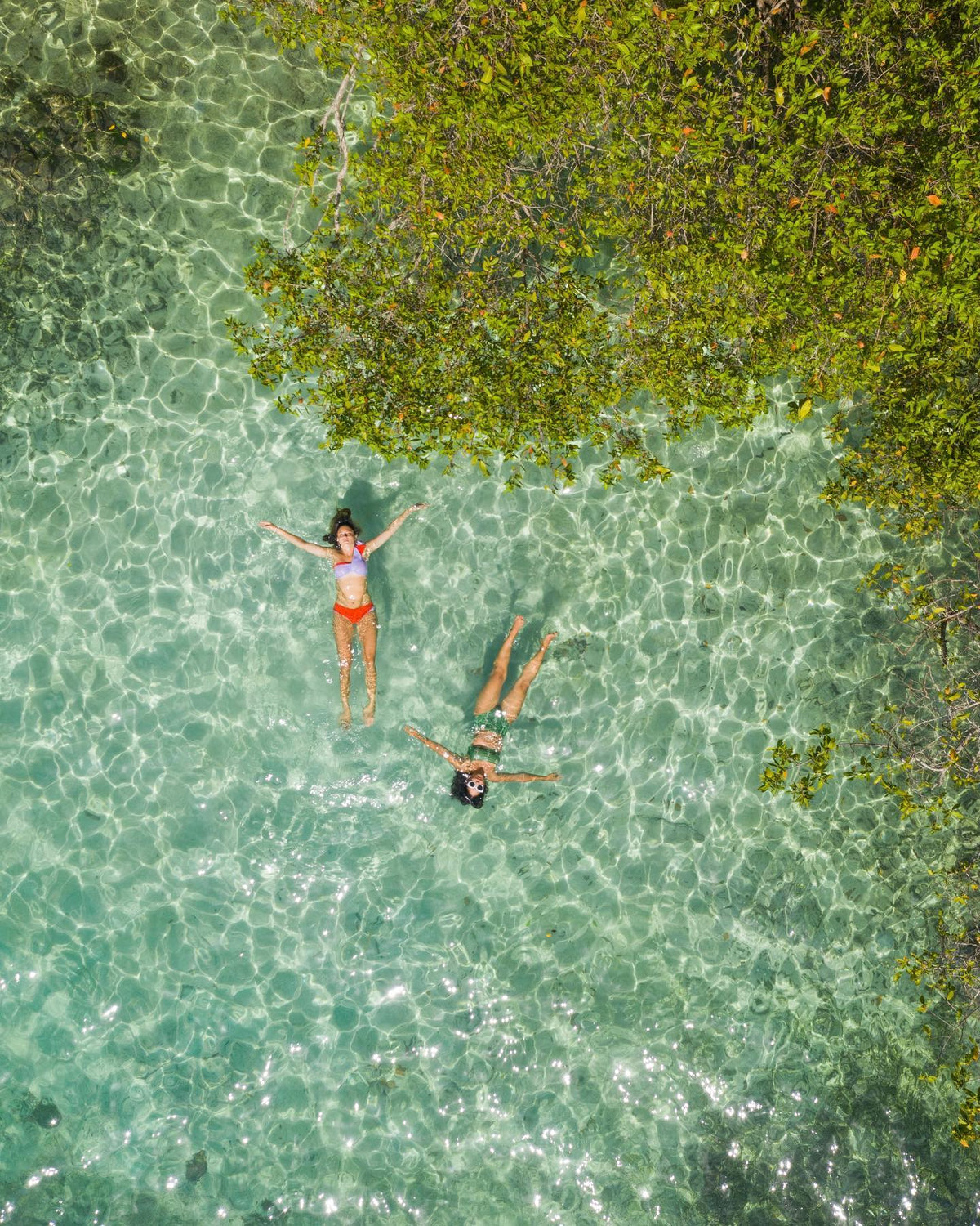Islas del Rosario Tours en Cartagena
