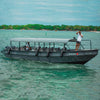 Viaje en barco privado desde Cartagena a las Islas del Rosario