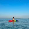 Tour a Islabela - Islas del Rosario