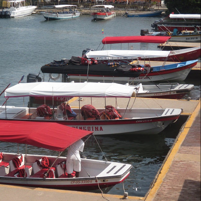 lanchas al oceanario desde cartagena