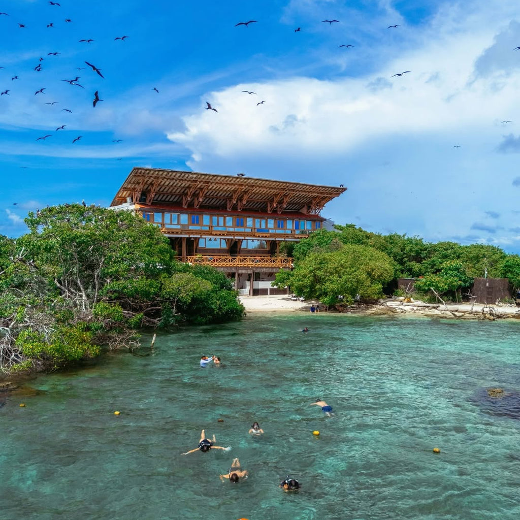 snorkel guiado, tour de fragatas, traslado al Oceanario 