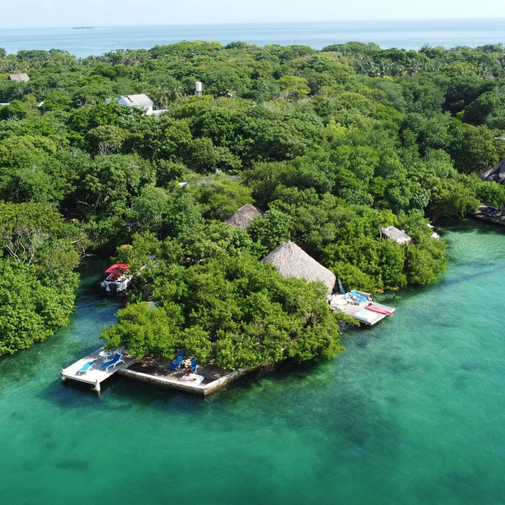 Tour a Isla Coralina-Islas del Rosario