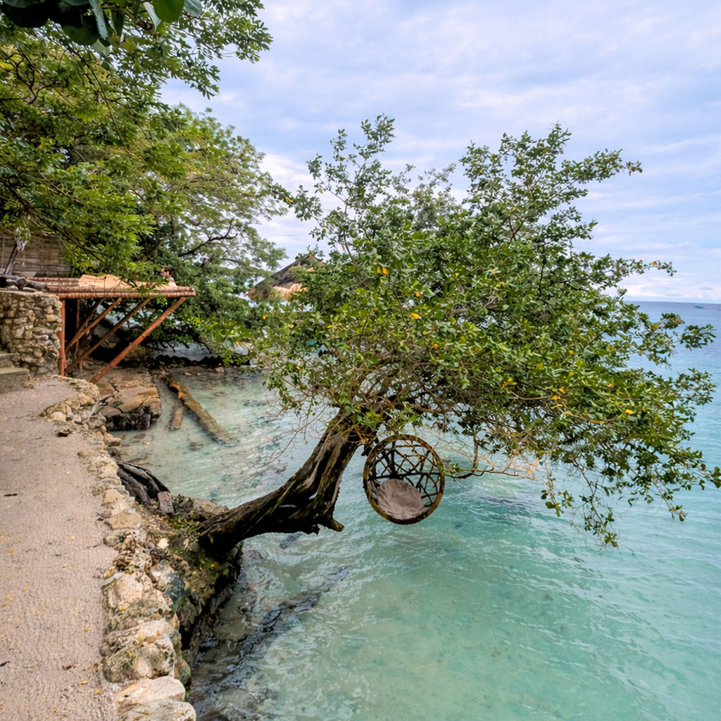 Paue Beach: Oasis en Islas del Rosario 