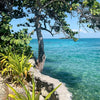Tour de un día a Isla del Pirata - Islas del Rosario