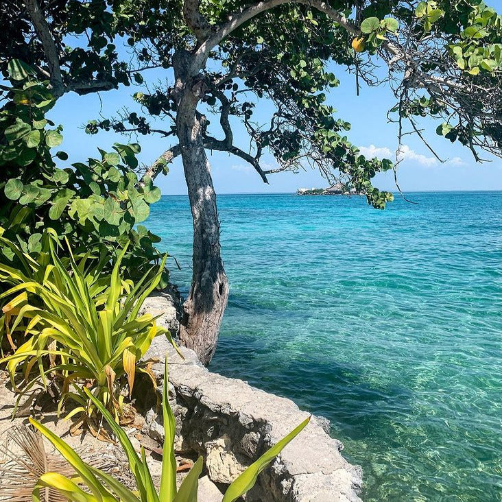 Tour de un día a Isla del Pirata - Islas del Rosario