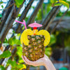 Tour a Playa Blanca en Baru - Mambo Beach